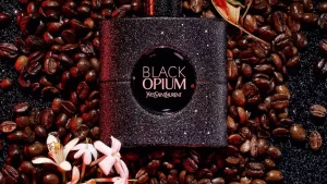 YSL Black Opium Parfüm İncelemesi