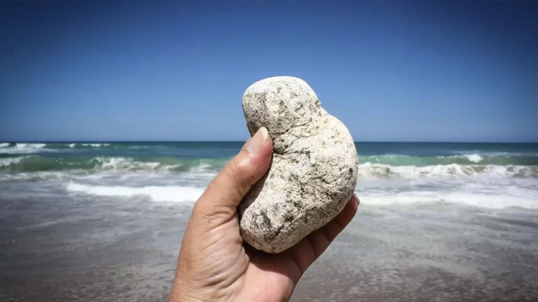 Ambergris Nedir ve Nasıl Elde Edilir?