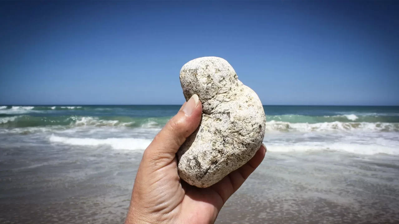 Ambergris Nedir ve Nasıl Elde Edilir?